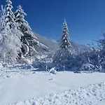 Haus Waldblick Weissensee