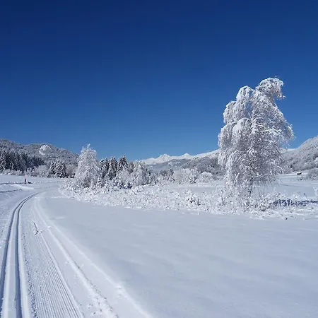 Διαμέρισμα Haus Waldblick Weissensee
