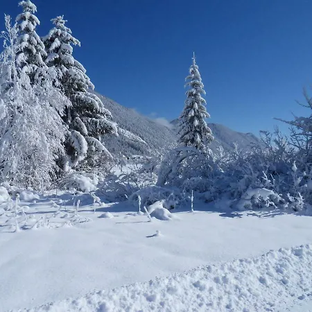 Haus Waldblick Weissensee