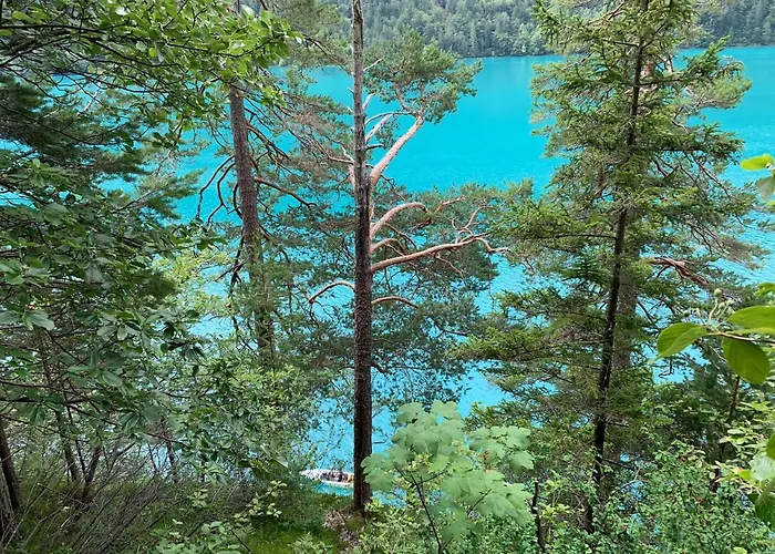 Haus Waldblick דירה *