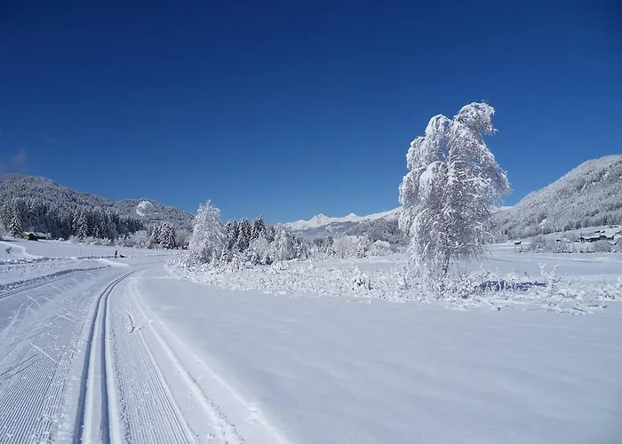 דירה Haus Waldblick וויסנסי