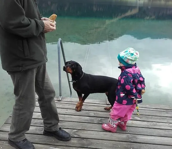 Haus Waldblick 魏森湖