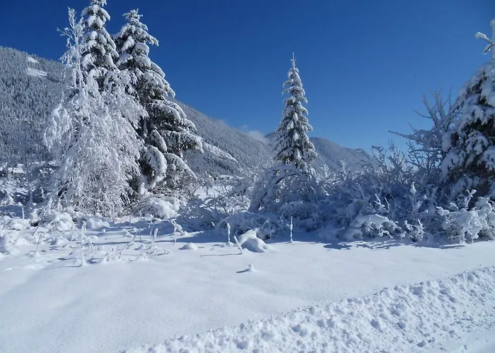 Haus Waldblick וויסנסי