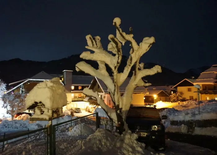 Haus Waldblick Lejlighed